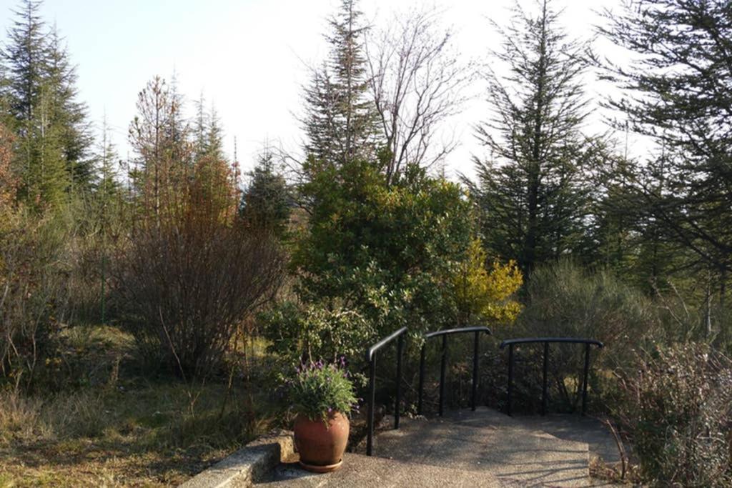 Villa La Lurette, Appartement Et Studio Saint-Étienne-les-Orgues Buitenkant foto
