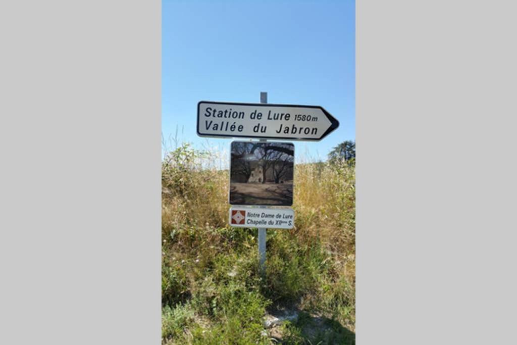 Villa La Lurette, Appartement Et Studio Saint-Étienne-les-Orgues Buitenkant foto