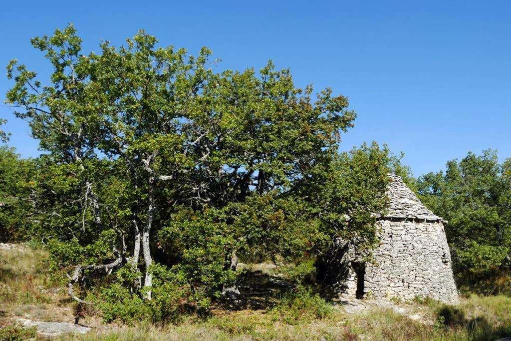 Villa La Lurette, Appartement Et Studio Saint-Étienne-les-Orgues Buitenkant foto