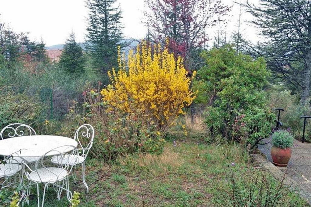 Villa La Lurette, Appartement Et Studio Saint-Étienne-les-Orgues Buitenkant foto